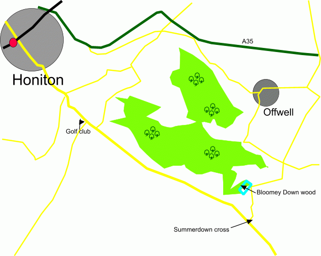Bloomey Down Wood - SOLD map