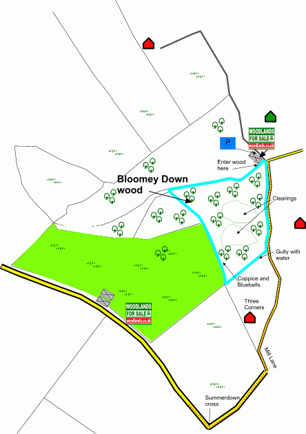 Bloomey Down Wood - SOLD map
