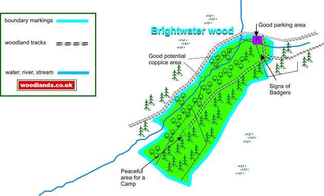 Brightwater wood map