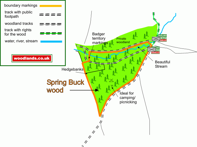 Spring Buck wood map