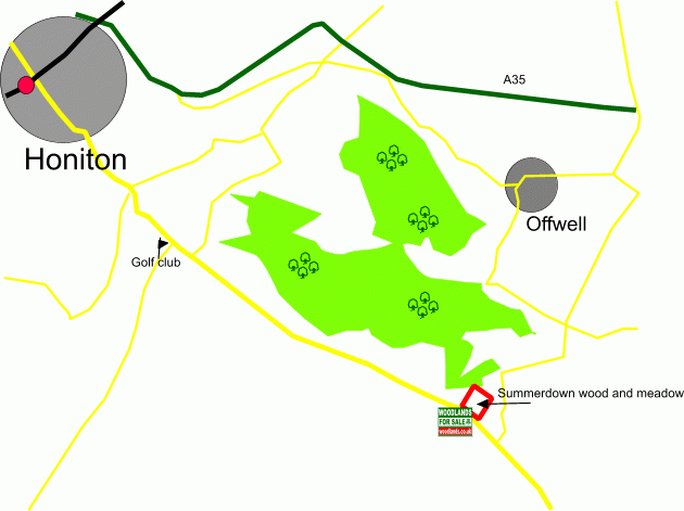 Summerdown wood and meadow - SOLD map