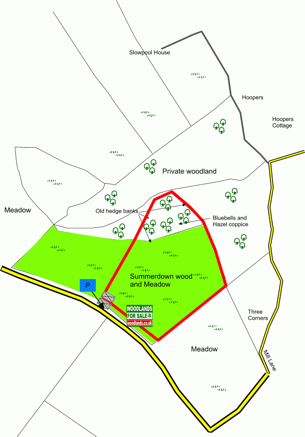 Summerdown wood and meadow - SOLD map