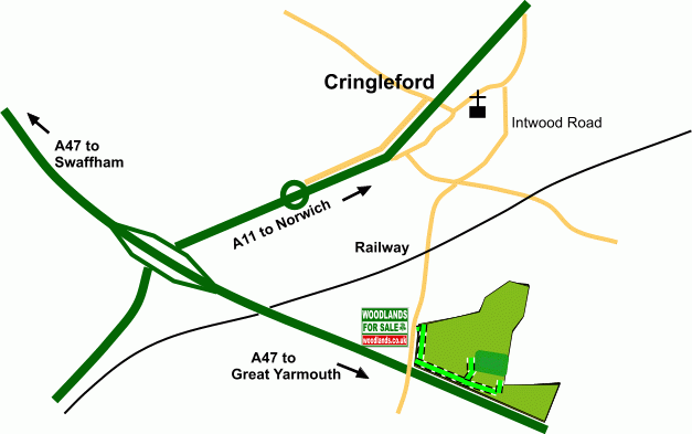 Click to view a full-size version Twissel Wood and Meadow map