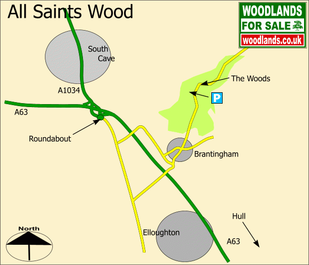 All Saints Wood map