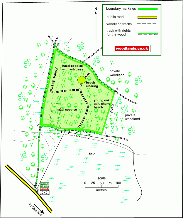 ClanWood - SOLD map