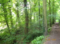 Byron Wood