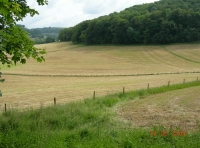Byron Wood photo 2