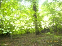 Byron Wood photo 3