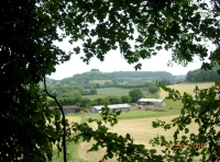Byron Wood photo 4