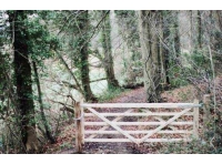 Dursley Wood