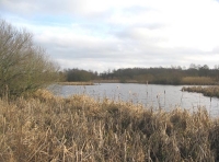 Myrtle Lake photo 2