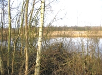 Myrtle Lake photo 4
