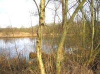 Turbary Lake