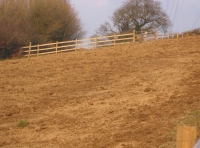 Blackberry meadow - SOLD photo 4