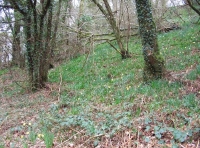 Church Wood - SOLD