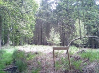 Hugginshayes wood