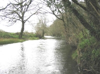 Kingshill Wood - SOLD