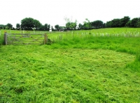 Nethercott Meadow