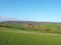 Railway Meadow