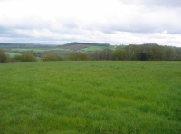 Summerdown wood and meadow - SOLD photo 2