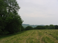 Summerdown wood and meadow - SOLD photo 4