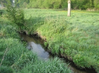 Abbotts Wood and Meadow - SOLD photo 2