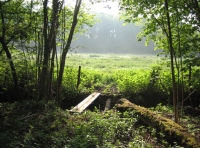 Abbotts Wood and Meadow - SOLD photo 3