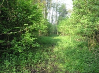Abbotts Wood and Meadow - SOLD photo 4