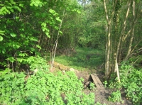 Abbotts Wood and Meadow - SOLD photo 6