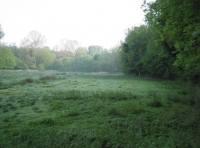 Abbotts Wood and Meadow - SOLD photo 7