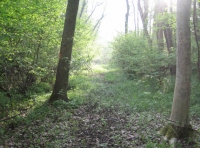 Abbotts Wood and Meadow - SOLD photo 8