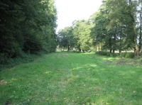 Firhill Wood and Meadow