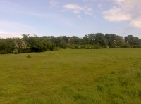 Keswick Hill Meadow