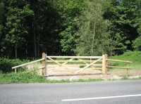 Malborough Wood photo 3