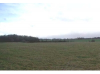 Tye Meadow