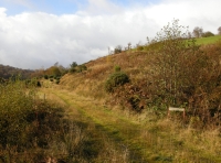 Coed Fron Ddu