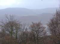 Coed Murddyn - Murddyn Wood - SOLD