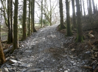 Coed Tal - High Wood