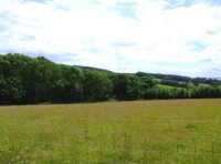 All Saints Wood photo 4