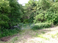 Irtonwood photo 3
