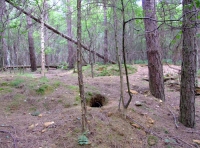 Irtonwood photo 6