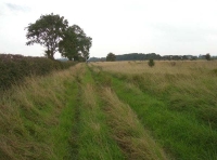 Sandholme Meadow - SOLD