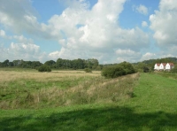 Bolt Meadow