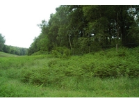 ClanWood - SOLD photo 2