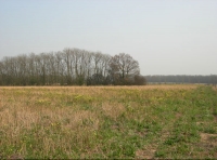 Dene Field