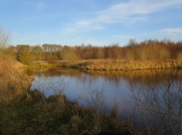 Bronnant Lake