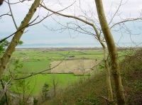 Bryn Haul/Sun Hill Wood - SOLD