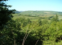 Coed Brynhyfryd - Pleasant Hill Wood - SOLD