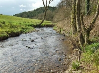 Coed Hendre - Hendre Wood - SOLD