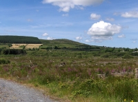 Coed Preseli - SOLD photo 3